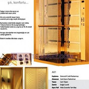 APEX Elevator Model- ELEGANCE APEX Elevator Model- ELEGANCE